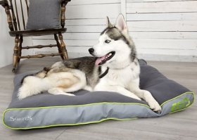 Scruffs Eco Slimline Pillow Dog Bed