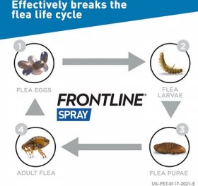 Frontline Flea & Tick Spray for Dogs & Cats