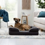 Brindle Orthopedic Bolster Dog & Cat Bed w/ Removable Cover