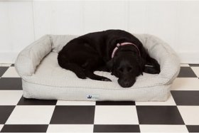 3 Dog Pet Supply EZ Wash Premium Orthopedic Bolster Dog Bed w/Removable Cover