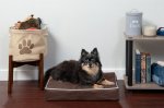 FurHaven Indoor/Outdoor Solid Cooling Gel Cat & Dog Bed w/Removable Cover