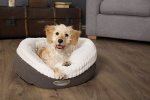 Scruffs Ellen Donut Bolster Dog Bed