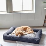 Frisco Faux Felt Orthopedic Rectangular Bolster Dog Bed w/Removable Cover