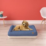 Pup Pup Kitty Plush Orthopedic Bolster Cat & Dog Bed w/Removable Cover