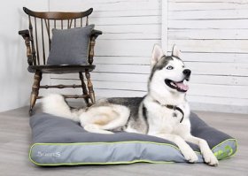 Scruffs Eco Slimline Pillow Dog Bed