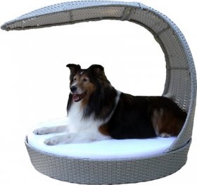 The Refined Feline Waterproof Covered Outdoor Dog Be, Large