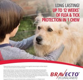 Bravecto Chew for Dogs, 44-88 lbs, (Blue Box), 1 Chew (12-wks. supply)