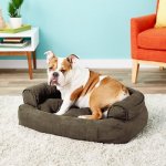 Snoozer Pet Products Luxury Overstuffed Cat & Dog Bed w/Removable Cover