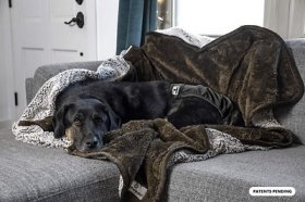 Pet Parents Premium Waterproof Pawtect Blanket Dog & Cat Blanket