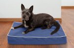 FurHaven Indoor/Outdoor Solid Memory Foam Cat & Dog Bed w/Removable Cover