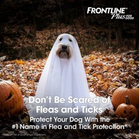 Frontline Plus Flea & Tick Spot Treatment for Large Dogs, 45-88 lbs