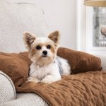 PetSafe CozyUp Chair & Sofa Protector for Pets, Cocoa