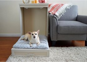 New Age Pet Abigail Murphy Memory Foam Dog & Cat Bed