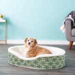 MidWest QuietTime Defender Orthopedic Bolster Cat & Dog Bed w/ Removable Cover, Green