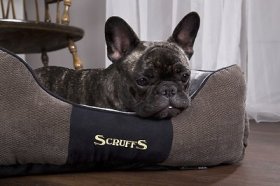 Scruffs Chester Box Dog Be, Graphite Grey, Small