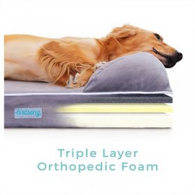 PLS Birdsong Ruya Triple-Layer Orthopedic Bolster Dog Bed w/Removable Cover