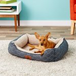 American Kennel Club Circle Stitch Orthopedic Bolster Cat & Dog Bed
