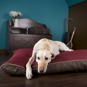 Scruffs Hilton Memory Foam Pillow Dog Bed