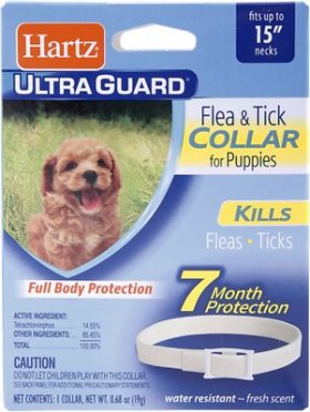 Hartz UltraGuard Flea & Tick Collar for Puppies & Dogs, 1 Collar (7-mos. supply)