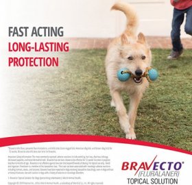 Bravecto Topical Solution for Dogs, 4.4-9.9 lbs, (Yellow Box)