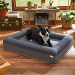 Frisco Orthopedic Rectangular Bolster Cat & Dog Bed w/Removable Cover