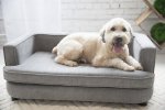 La-Z-Boy Bartlett Furniture Sofa Dog Be, Pewter