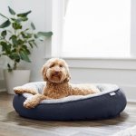 Frisco Faux Felt Oval Bolster Cat & Dog Bed