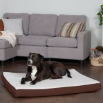 FurHaven Faux Sheepskin & Suede Cooling Gel Cat & Dog Bed w/Removable Cover