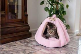 Armarkat Soft Pink Cat Bed