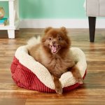 Aspen Pet Self-Warming Bolster Cat & Dog Be, Warm Spice/Cream
