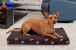 FurHaven Indoor/Outdoor GardenMemory Foam Cat & Dog Bed w/Removable Cover