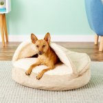 Snoozer Pet Products Orthopedic Microsuede Cozy Cave Dog & Cat Bed
