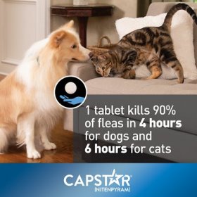 Capstar Flea Oral Treatment for Dogs, over 25 lbs, 6 Tablets