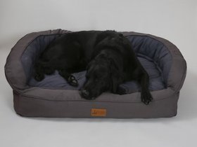 3 Dog Pet Supply EZ Wash Softshell Orthopedic Bolster Dog Bed w/Removable Cover