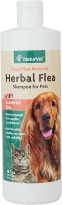 NaturVet Herbal Flea Dog & Cat Shampoo, 16-oz bottle