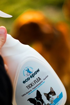 EcoSpaw Lavender Scented Flea & Tick Dog Spray, 8-oz bottle